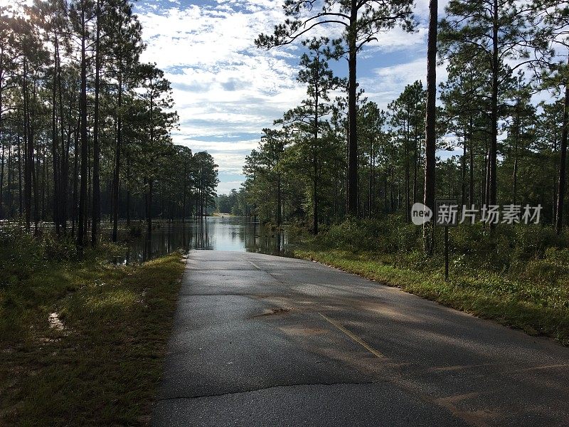 柏油路被流经森林的水流淹没，阻断了通往桥梁的道路