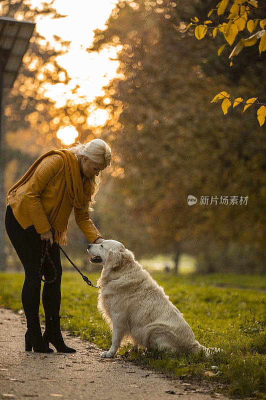 停下脚步，接受爱