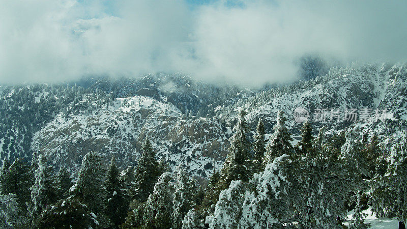 雪覆盖的树在圣加布里埃尔山在冬天-空中