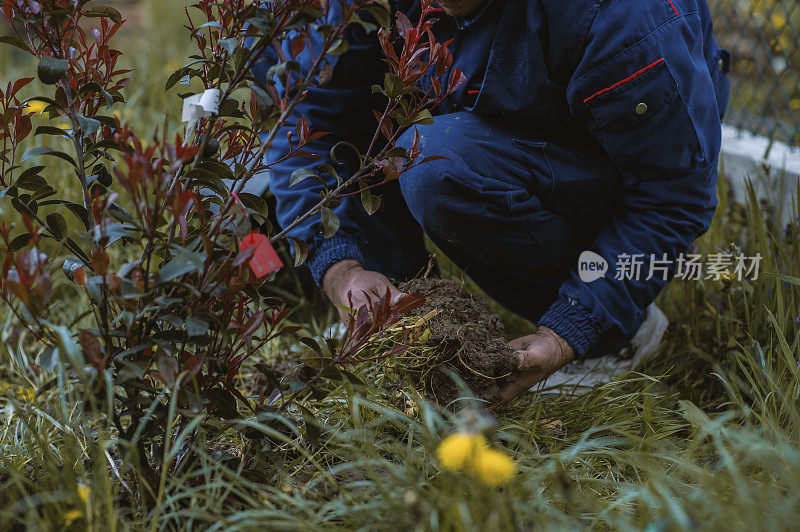 种植花园的人