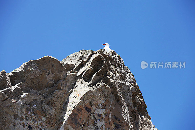 穆古角州立公园海滩，奥克斯纳德，文图拉县加利福尼亚州