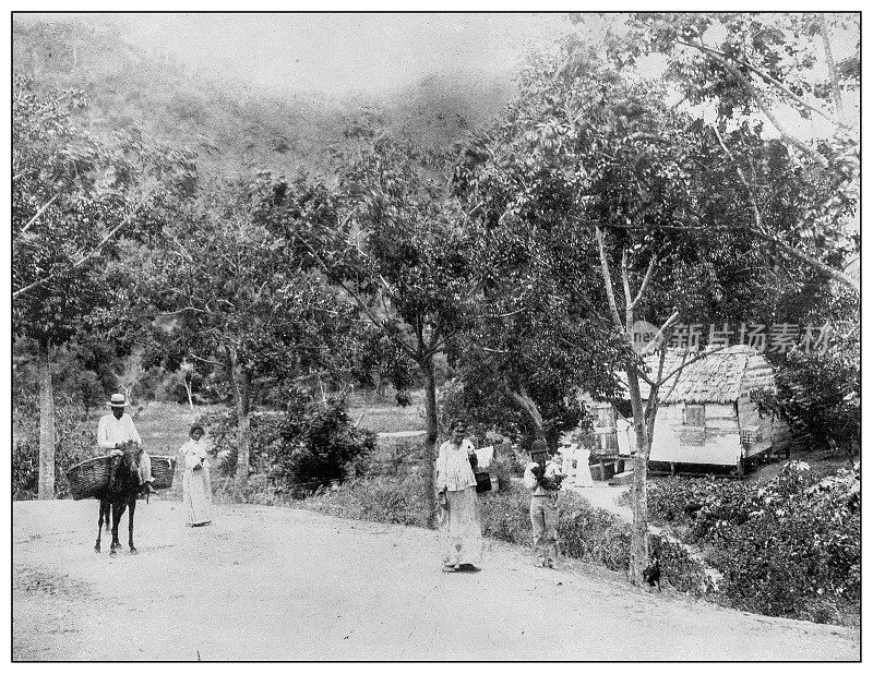 古董黑白照片:科摩，波多黎各