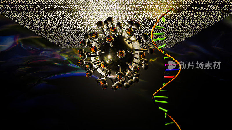 新型冠状病毒(COVID-19)刺突蛋白与人类基因组编码和RNA的投影