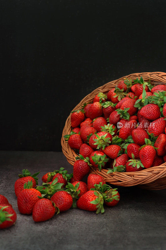 倾斜的柳条篮子，新鲜的红草莓和绿色的叶子洒在灰色的表面，准备吃，黑色的背景，聚焦前景