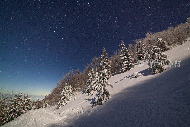 壮丽的星空笼罩着冬日的山景。夜景。月光下美丽的高大冷杉。喀尔巴阡山,乌克兰,欧洲。