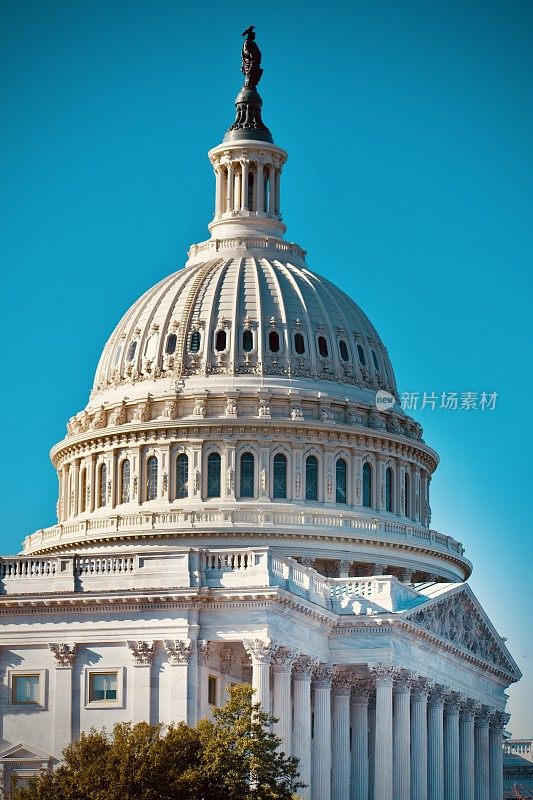 华盛顿政治——民主在众议院和参议院占多数