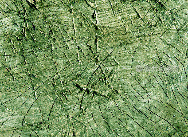 抽象绿色色调的老树表面用斧头刮伤。