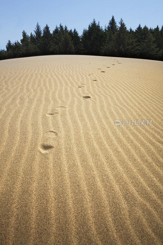 沙滩上的脚印