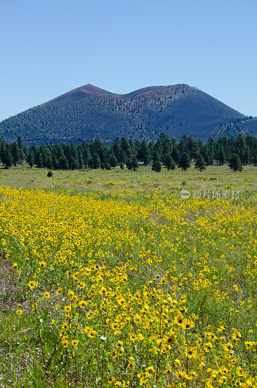 在日落火山口的Cowpen雏菊国家纪念馆