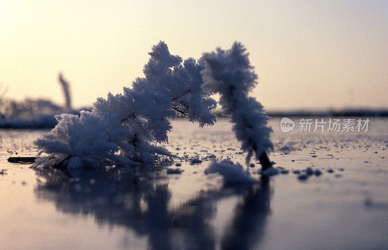 湖面冰晶