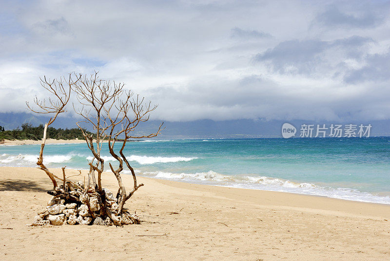 美丽的毛伊岛海滩