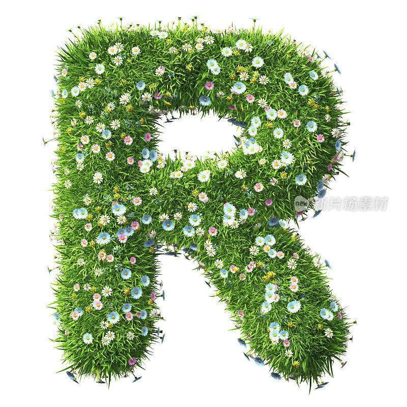 字母R的草和花