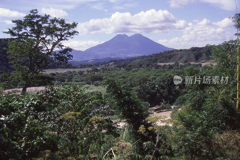 热带干燥的太平洋森林，火山，太平洋海岸，危地马拉，中美洲