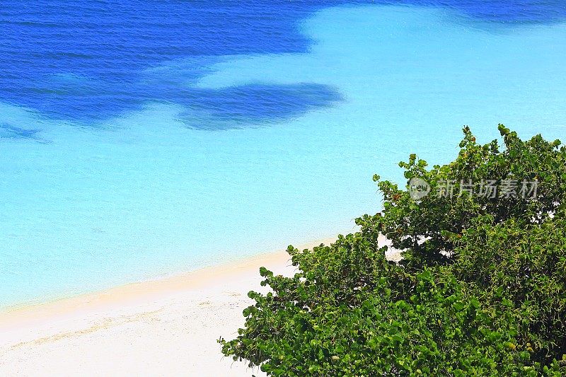 热带天堂日出:空中阳光明媚的桑迪加勒比绿树海滩