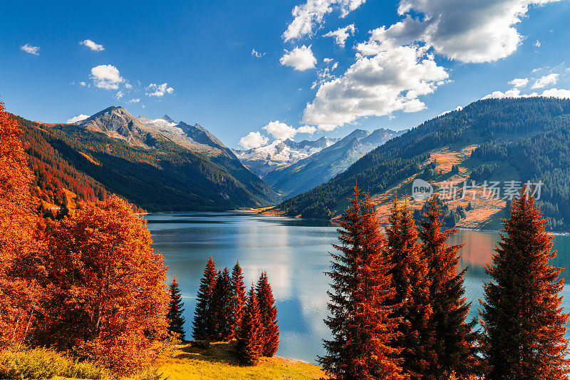 秋天的风景与红色树叶的阿尔卑斯湖