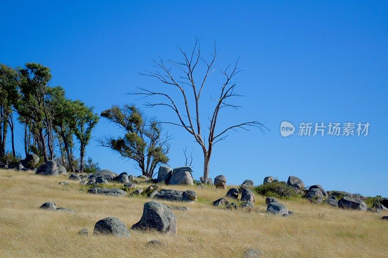 高原上的乡村景色