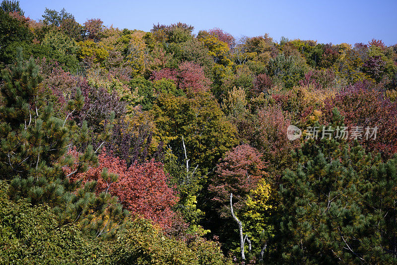 密歇根州上半岛的秋天色彩