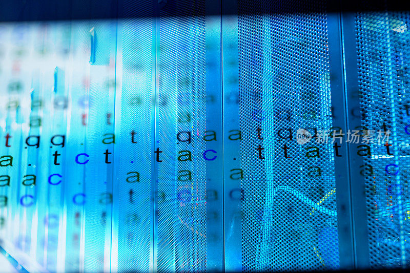 DNA编码数据与计算服务器