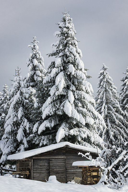 被雪覆盖的小屋