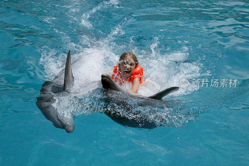 快乐的小女孩在游泳池里骑两只海豚。
