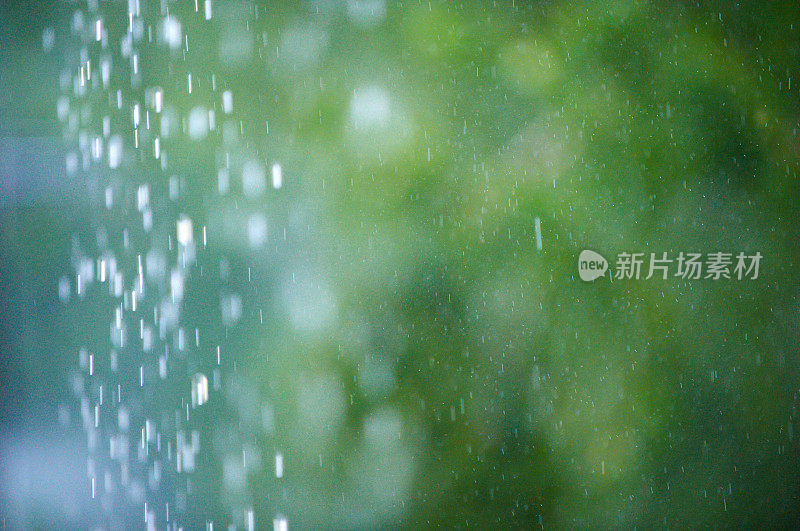 夏雨