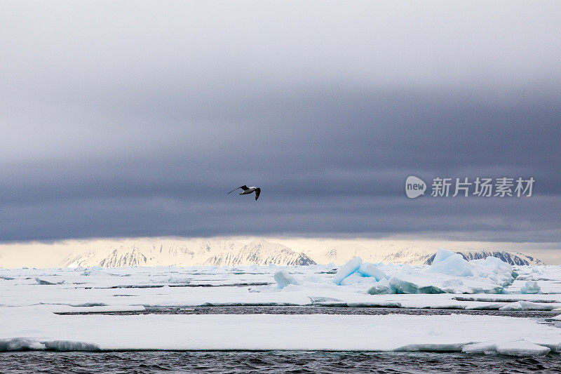 位于北冰洋斯瓦尔巴群岛的冰川冰山