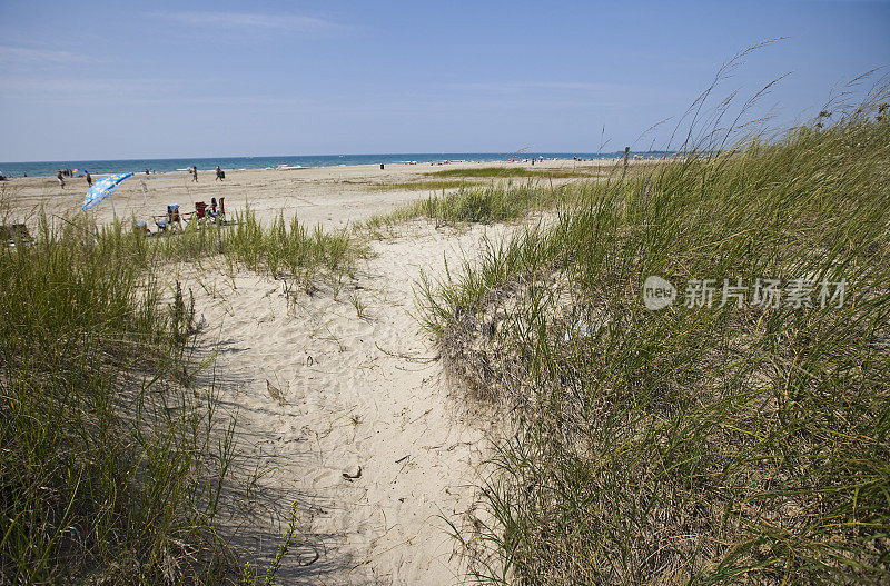 海滩上的沙丘