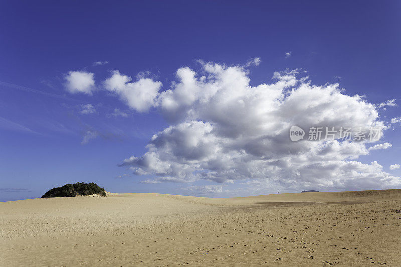 金沙的Fuerteventura