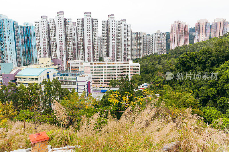 沙田，古坟，树木，摩天大楼，山，香港，中国