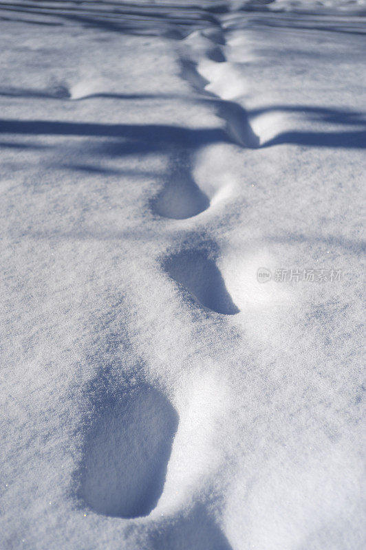 雪中恢复的痕迹