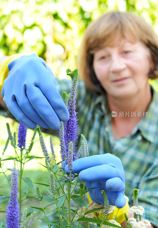 成熟开朗的白种园丁，花园里有花和植物