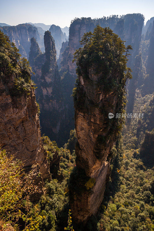 张家界国家森林公园