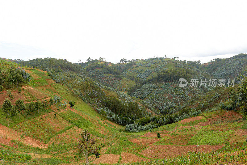 卢旺达基贝霍地区的农村