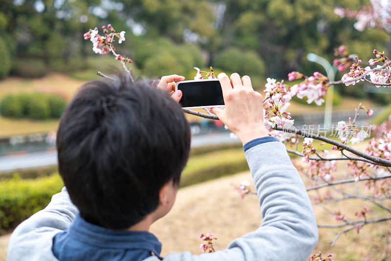 一名男子正在给樱花拍照