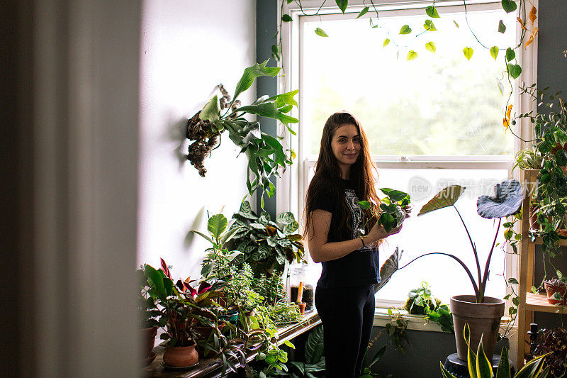 年轻的成年妇女在家给室内植物浇水