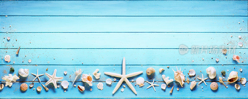 蓝木板上的海星和海贝