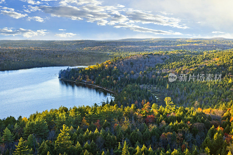秋天森林和湖顶视图