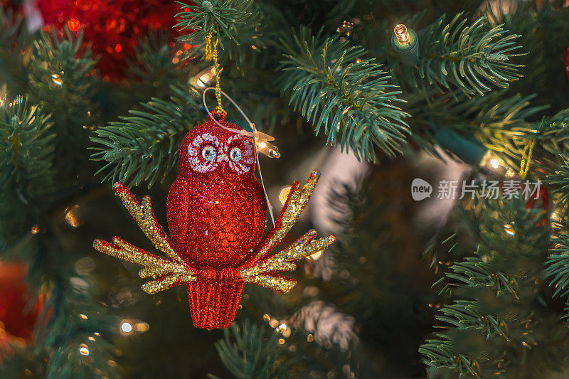 圣诞装饰红猫头鹰圣诞树寒假，新年快乐，圣诞主题