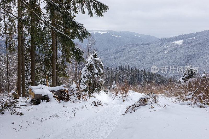 冬季喀尔巴阡山脉的一条徒步小径