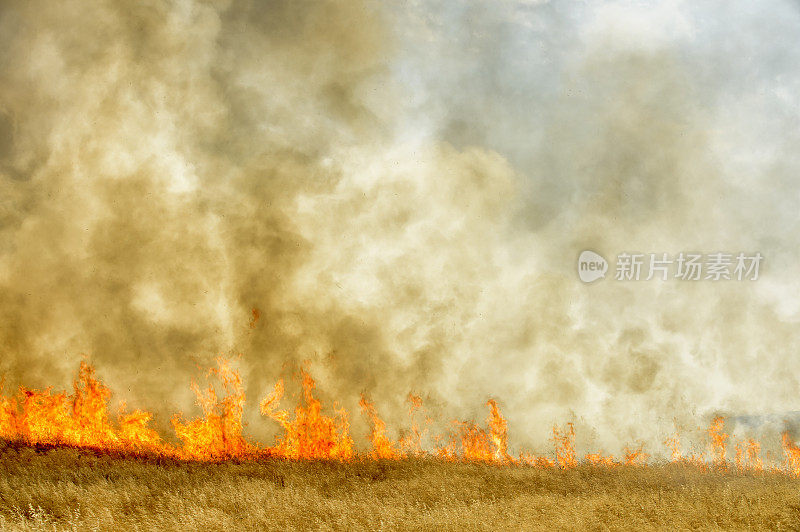 农村农场附近草地野火燃烧产生的烟雾和火焰