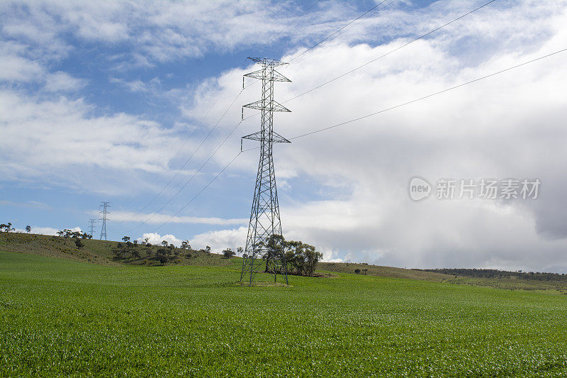 南澳大利亚农村地区的电力线路