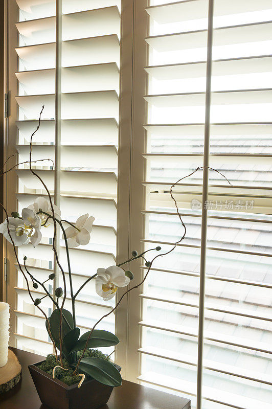 白色种植园风格的木制百叶窗