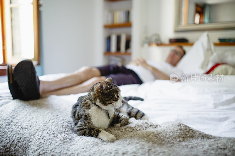 猫和一个男人躺在床上