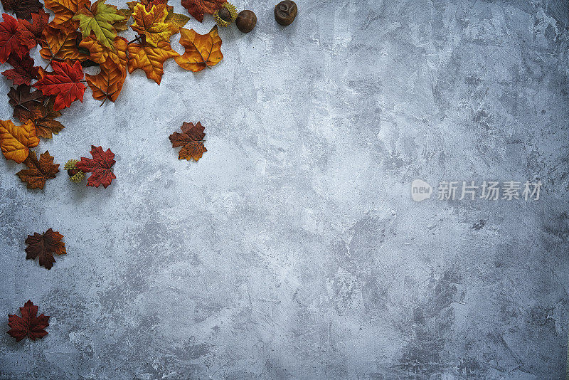 秋季装饰背景与南瓜，树叶和坚果