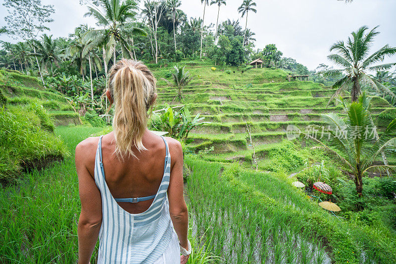 乌布-巴厘岛，年轻女子凝视着稻田;女孩在大自然中游荡
