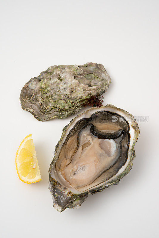 在加拿大不列颠哥伦比亚省黄昏湾收获的剥了壳的鸡尾酒牡蛎