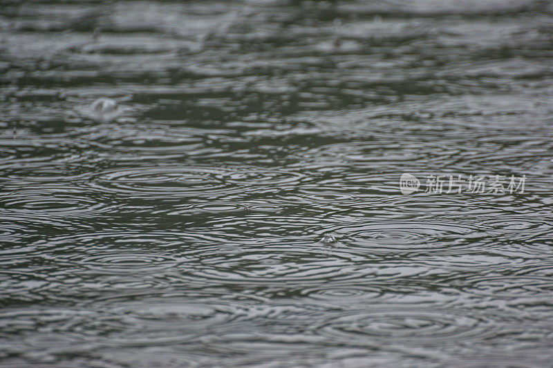 垂钓湖上的倾盆大雨