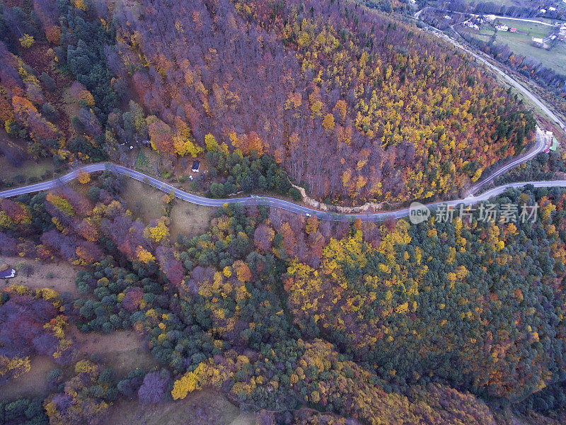 穿越秋天森林的道路-鸟瞰图