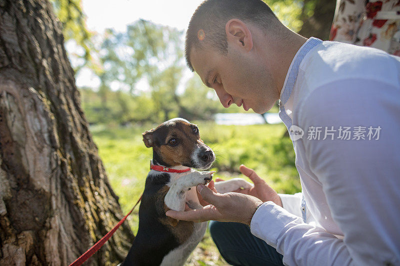 小伙子表现出他对杰克·罗素的早恋