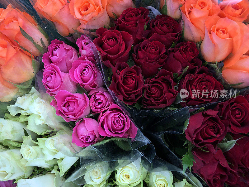 情人节这天，在超市花店里，一束玫瑰和鲜花被透明玻璃纸包裹，站在一桶水里，浪漫的玫瑰花饰有粉色、白色、深红色、酒红色、奶油色、桃橙色和红玫瑰